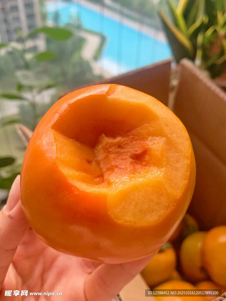 手捧美味多汁的新鲜柿子