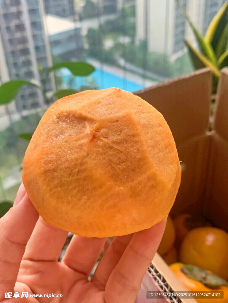 手捧新鲜橙黄杏子