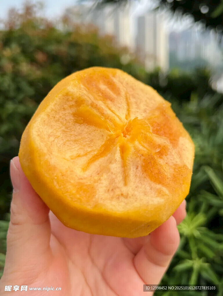手捧黄澄澄的美味柿子