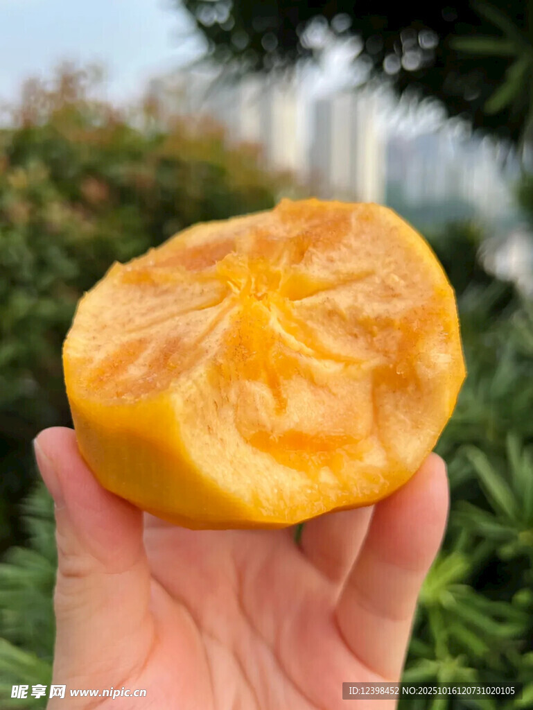 手捧多汁黄橙橙的柿子