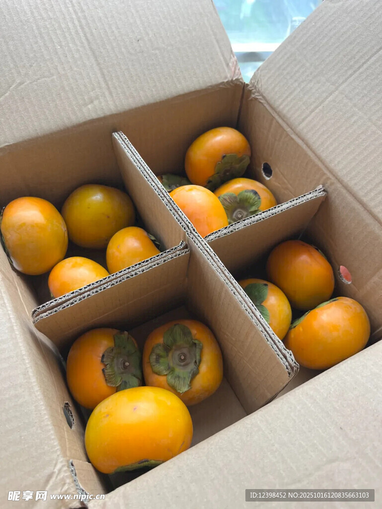 纸箱中的新鲜橙色果实