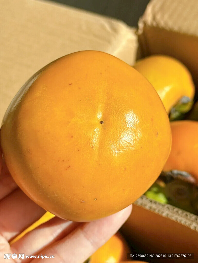 手捧新鲜诱人黄柿子