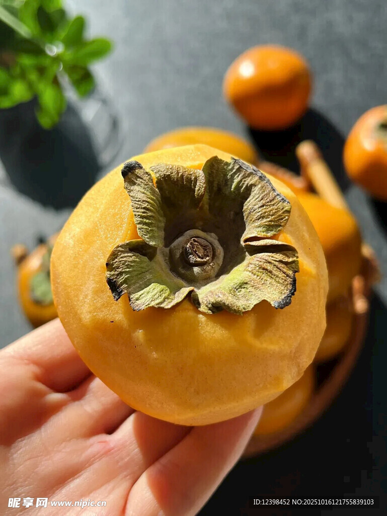手捧新鲜柿子