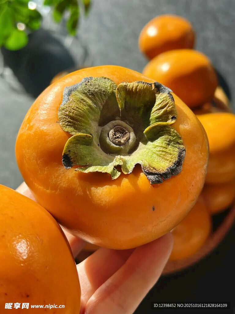 手捧鲜橙柿子果实饱满
