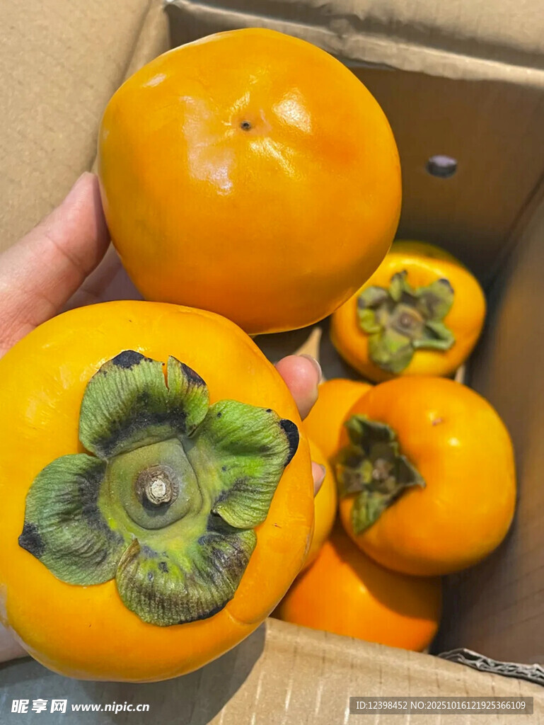 新鲜柿子