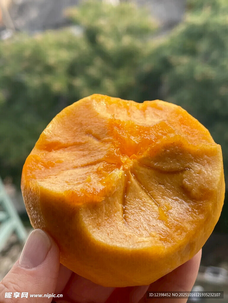 手捧切开的新鲜黄柿子