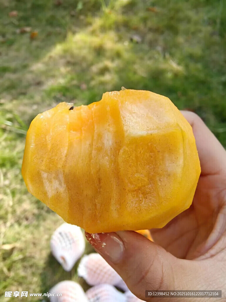 柿子果