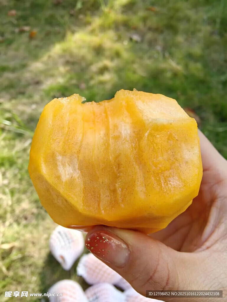 手捧剥开的新鲜黄芒果