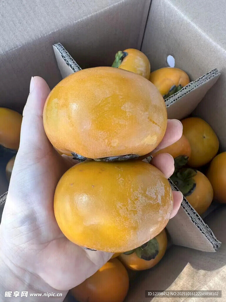 柿子