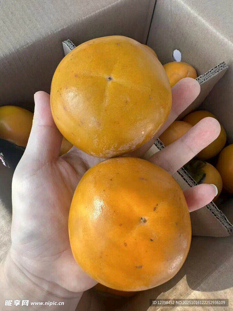 手捧新鲜金桔