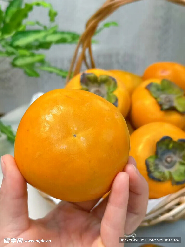 柿子