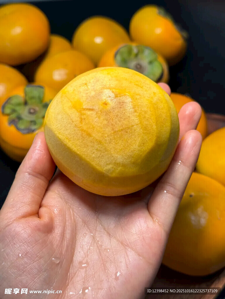 手捧金黄饱满新鲜柿子