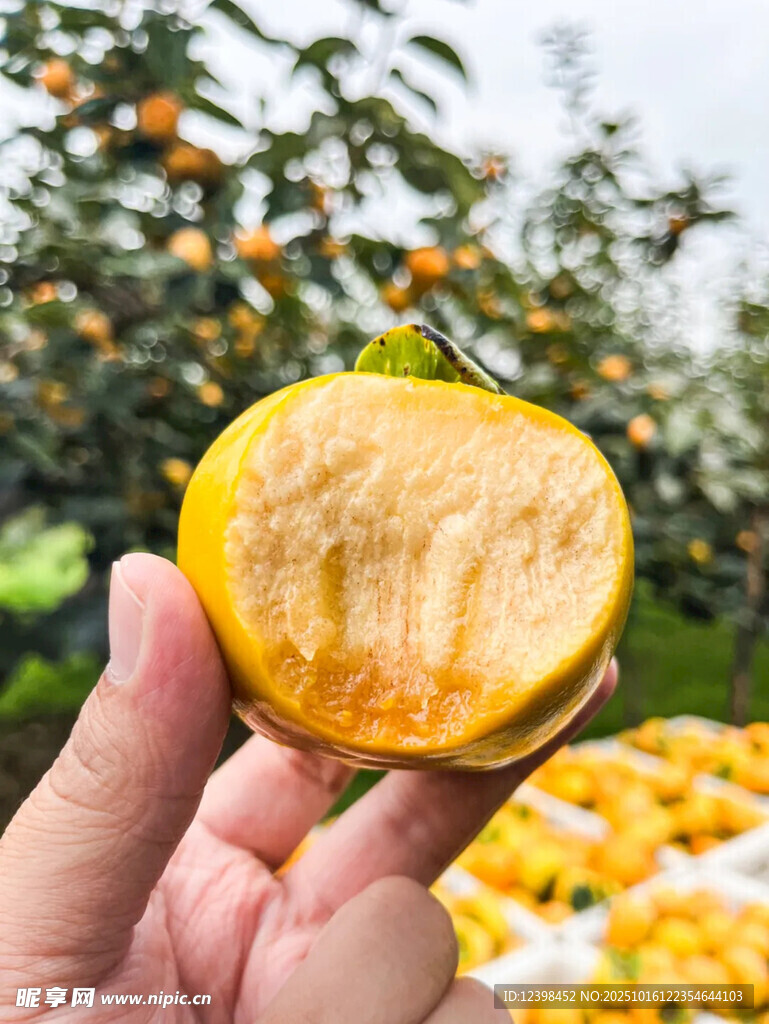 脆柿子
