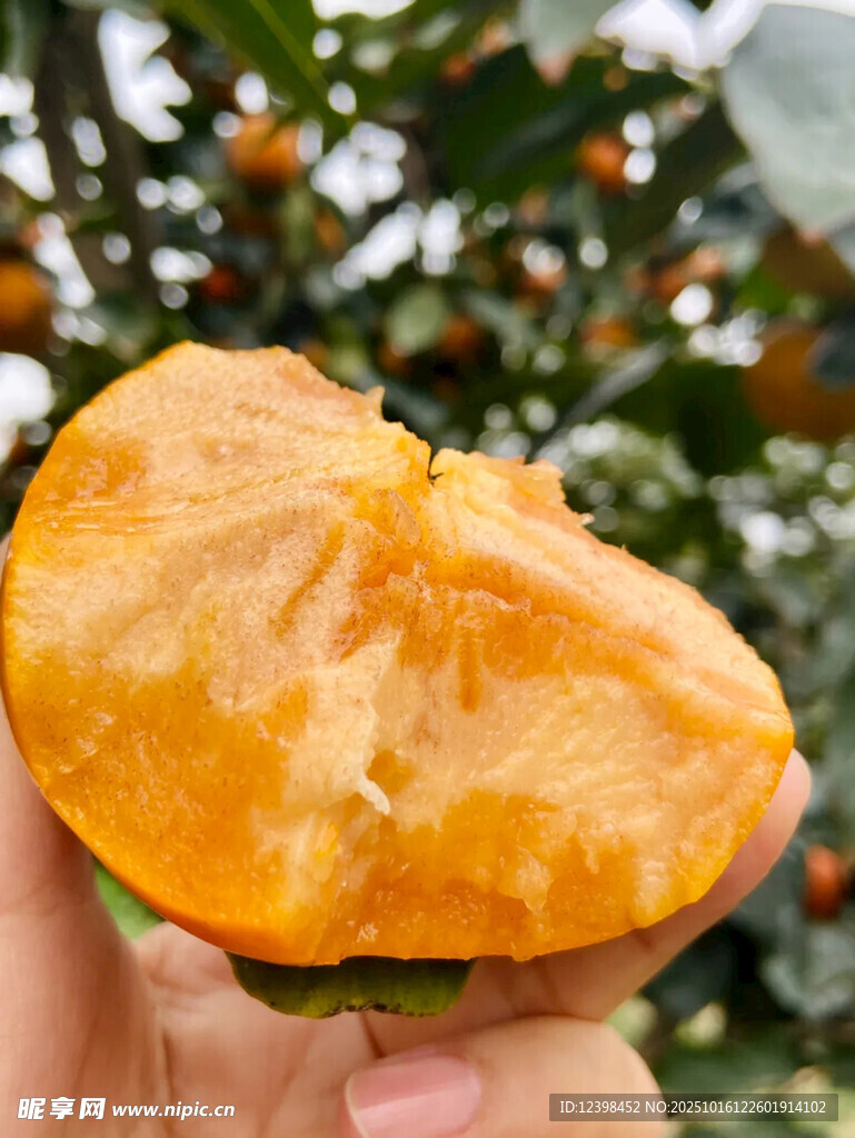 手捧切开的新鲜甜柿子