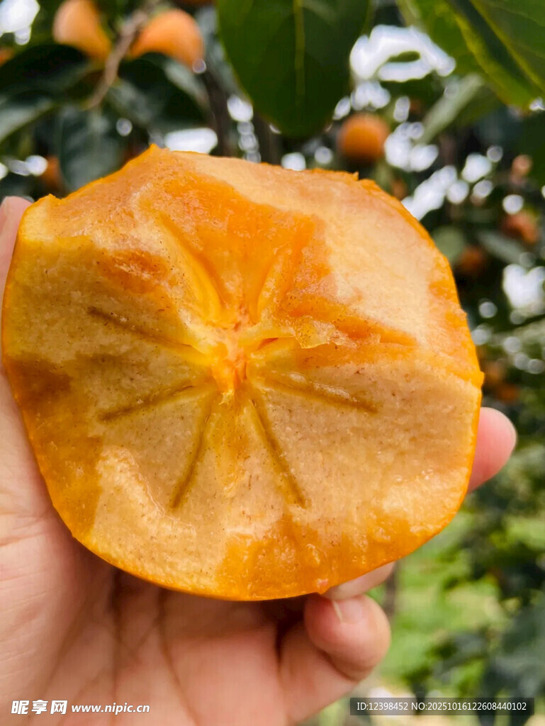 手捧切开的橙黄色甜柿子