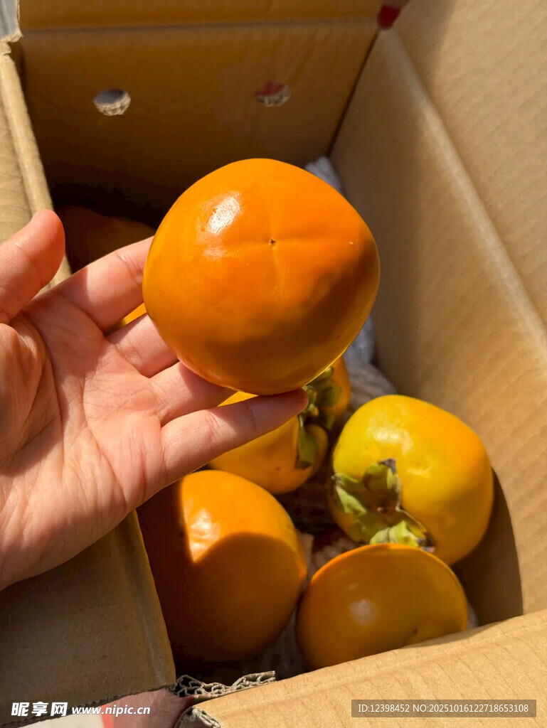 手捧新鲜柿子