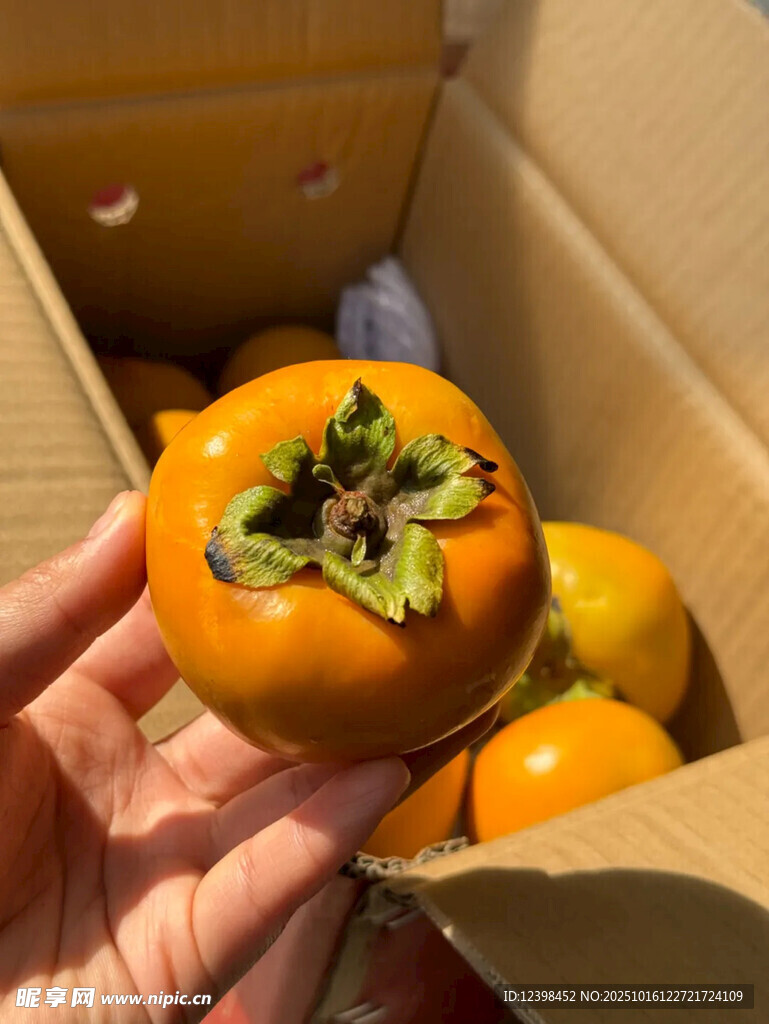 手捧盒中新鲜柿子