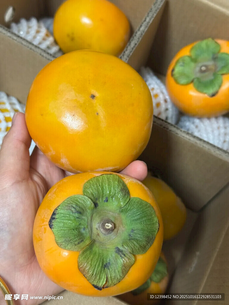 手捧新鲜柿子待售