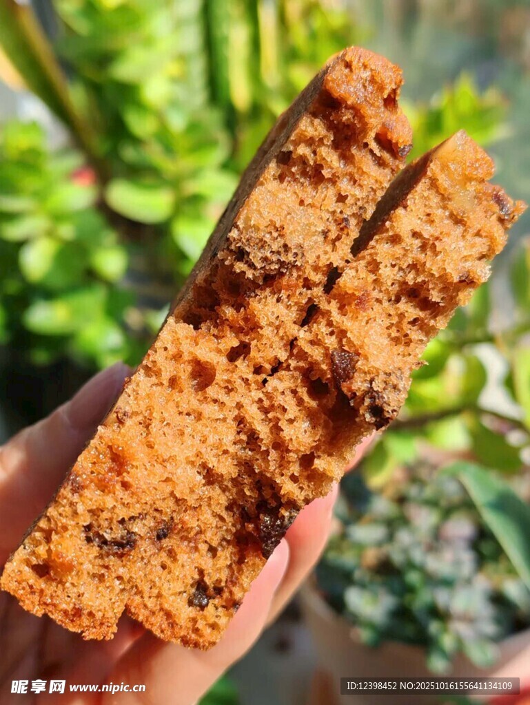 手拿多孔棕色块状物