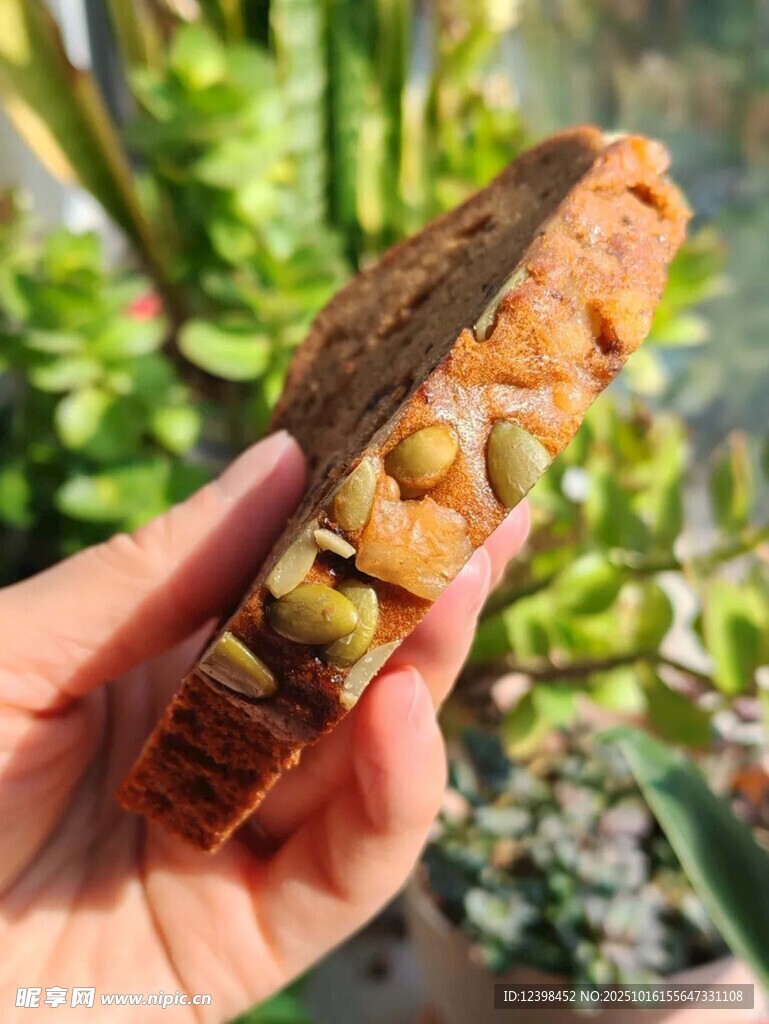 手捧奇异多肉植物特写