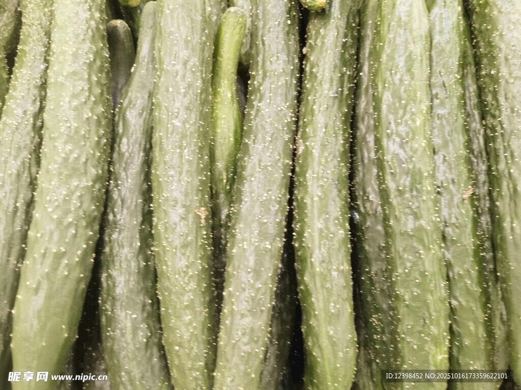 黄瓜