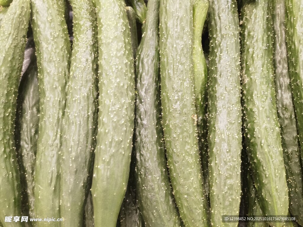 黄瓜