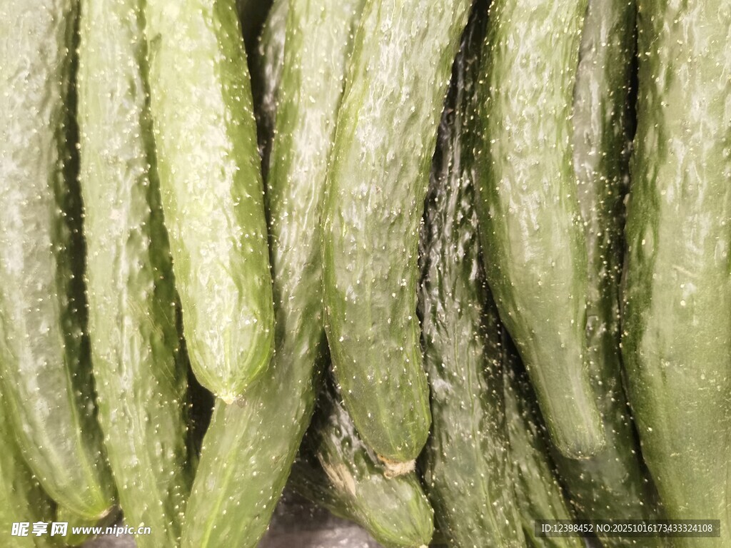 黄瓜