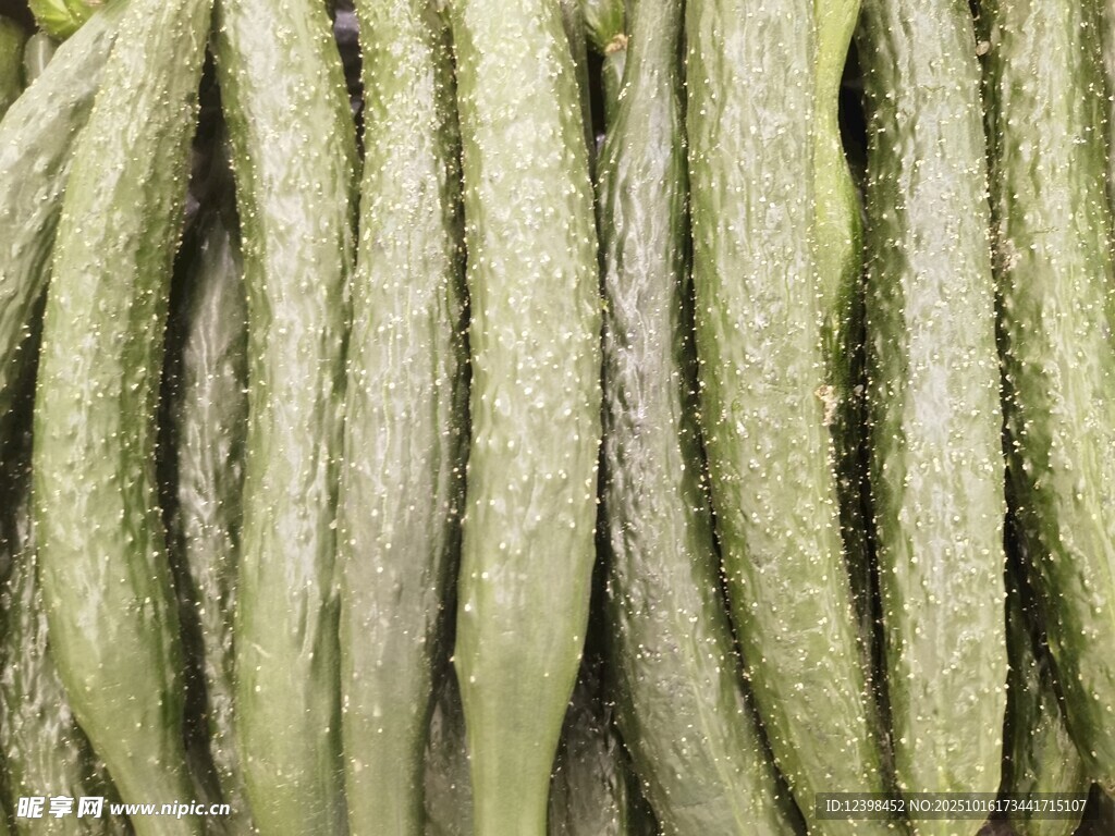 黄瓜