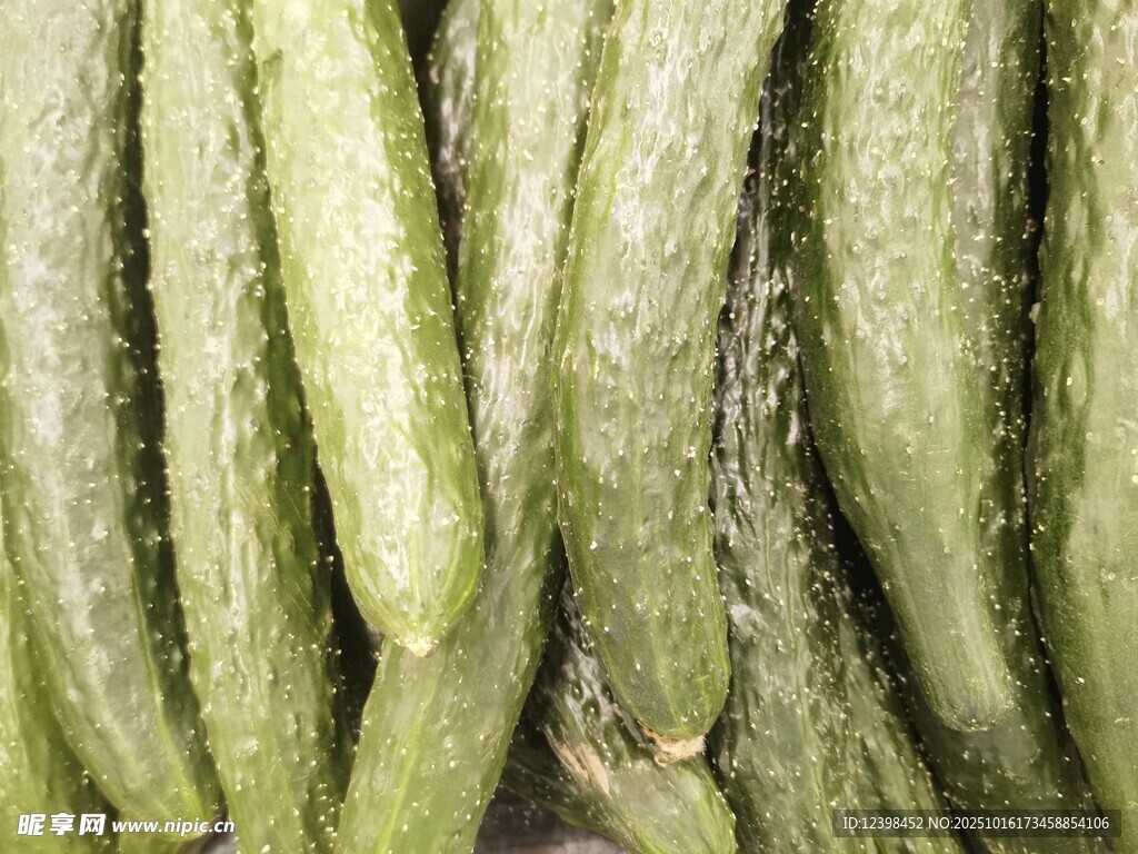 新鲜翠绿的黄瓜
