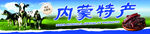 内蒙特产展示