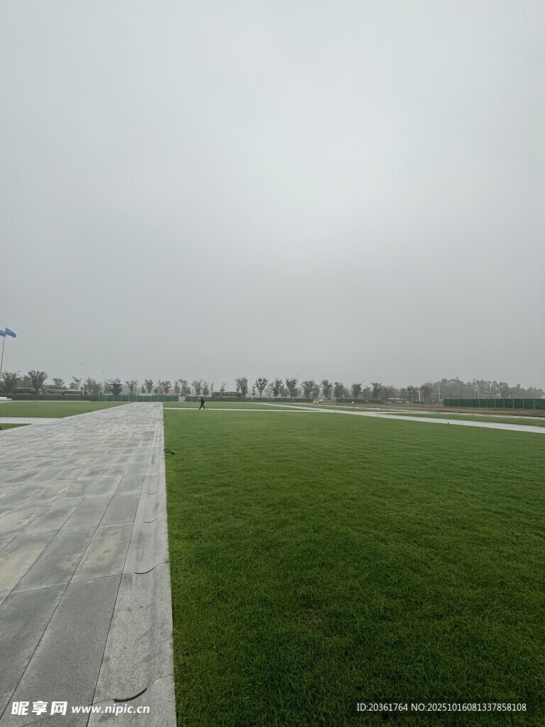 雾中草地与道路景象