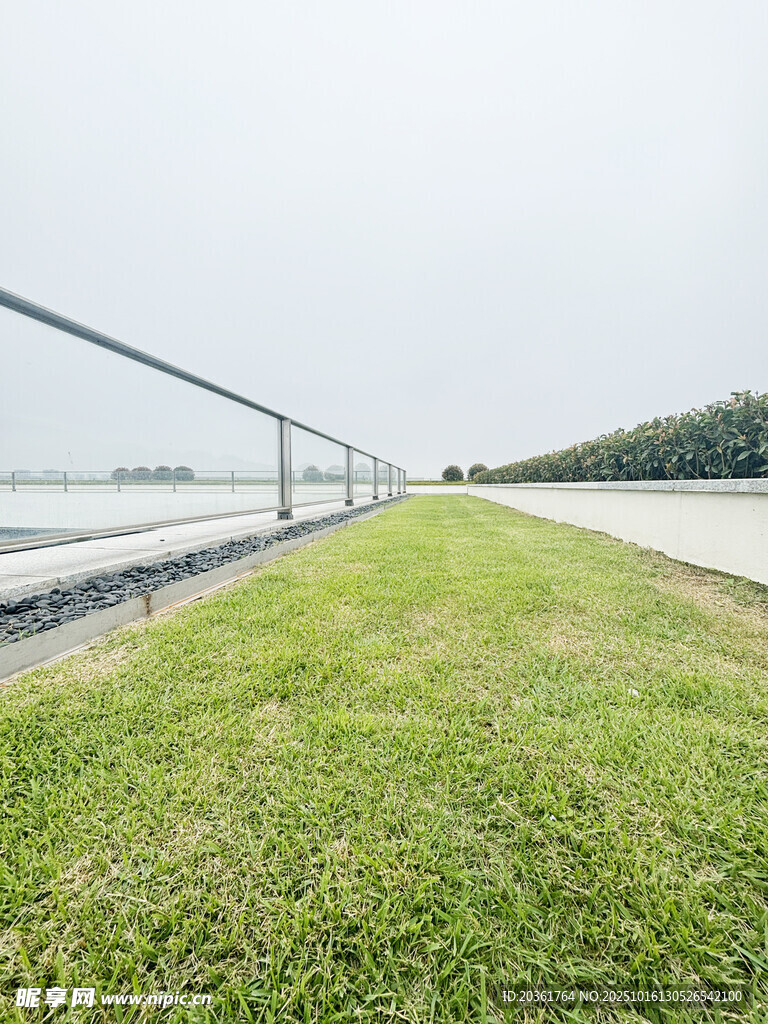 道路旁的翠绿草地