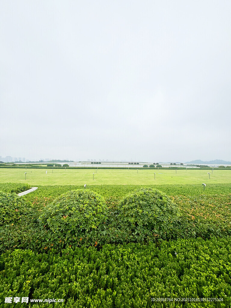 广袤绿野