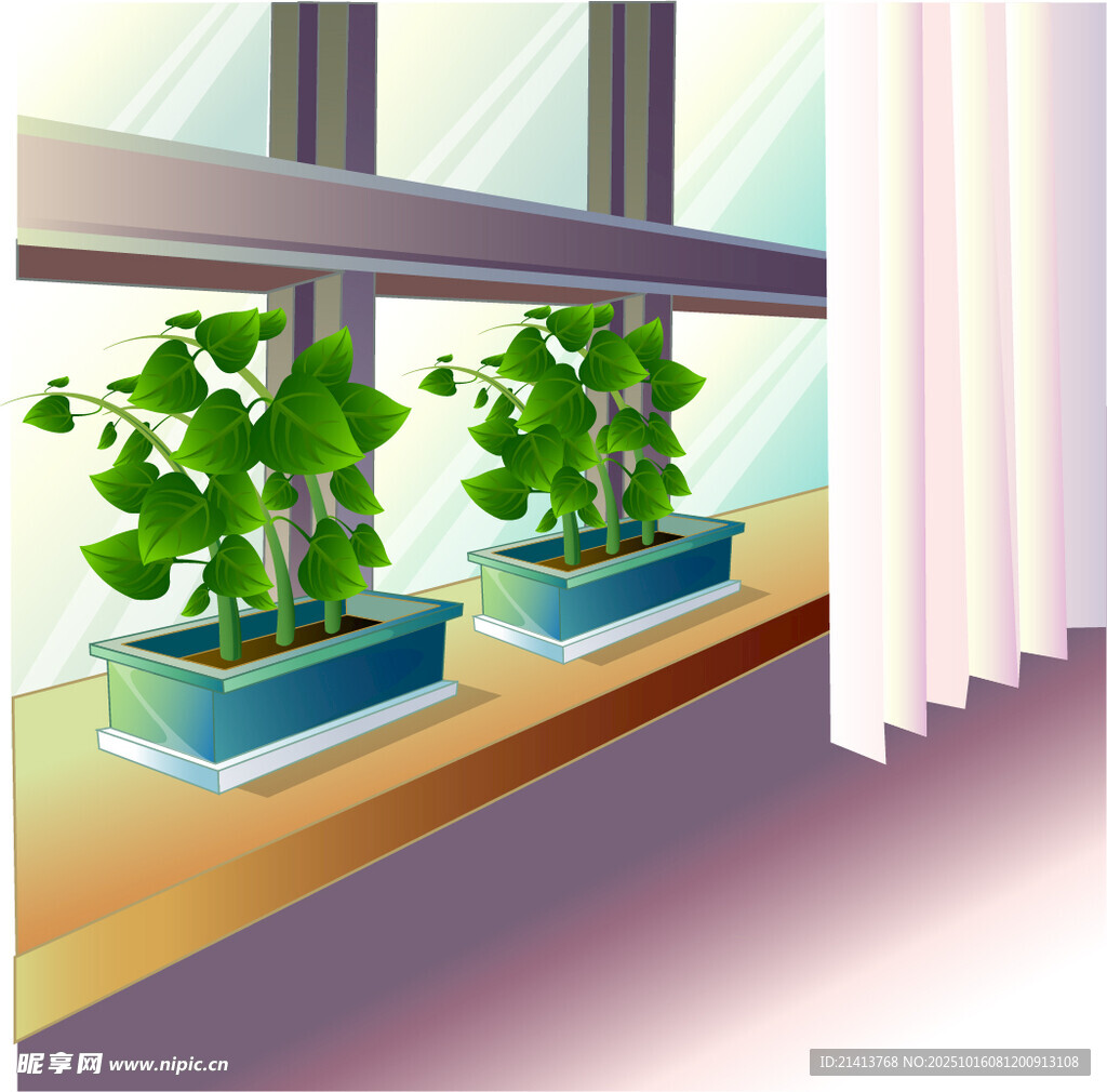 窗边绿植装点温馨角落