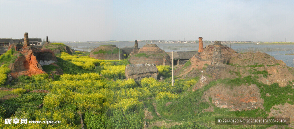 田野黄花与古朴建筑景观