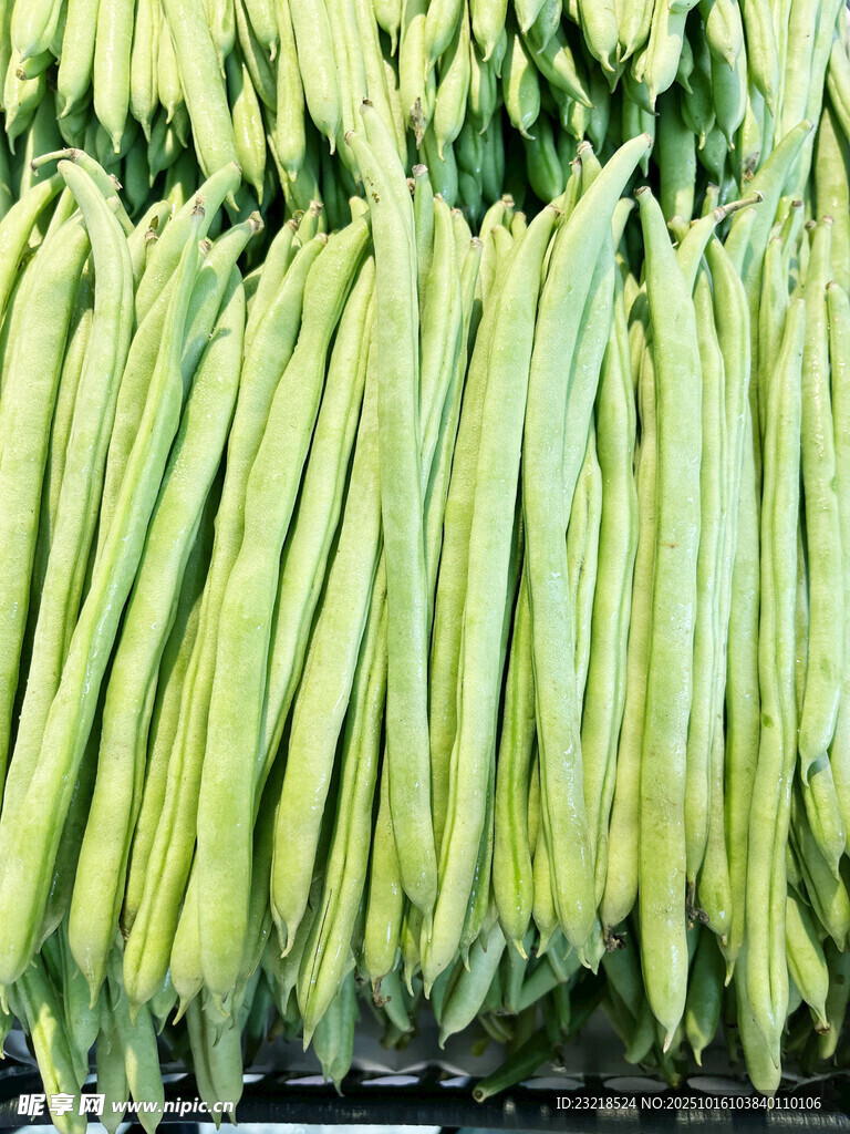 四季豆