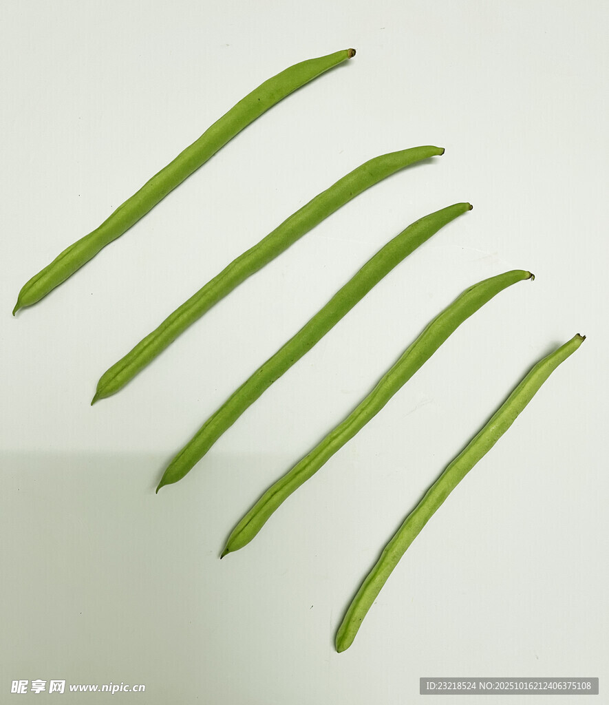 四季豆