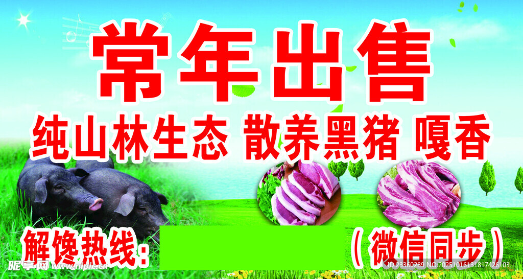 常年出售春山林散养黑猪噶香