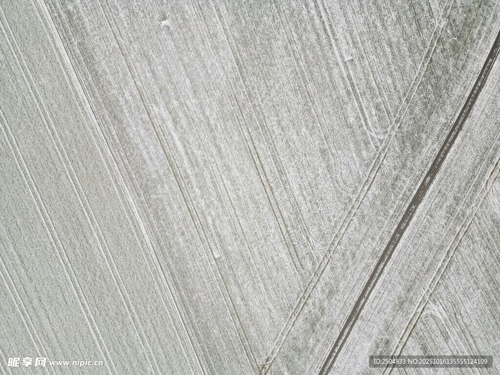 浅灰色木纹纹理背景图