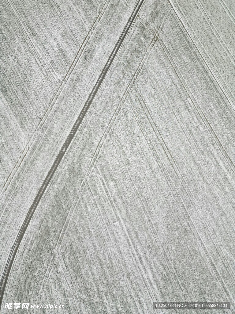 浅灰色木纹纹理特写