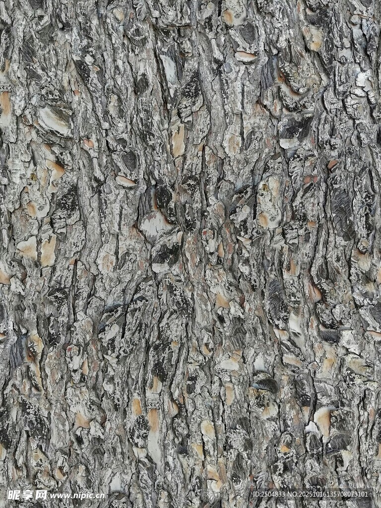 粗糙石材纹理特写