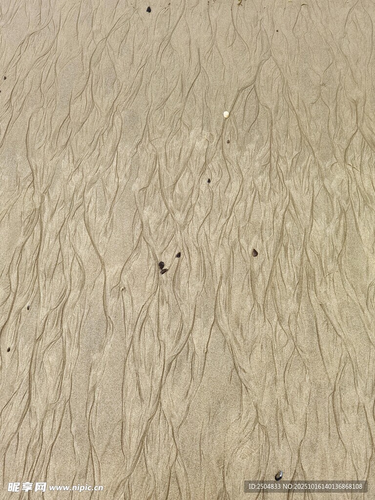 细腻纹理的浅色沙地表面