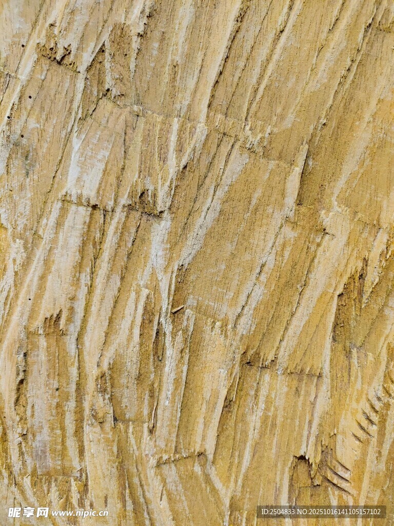 木纹纹理特写
