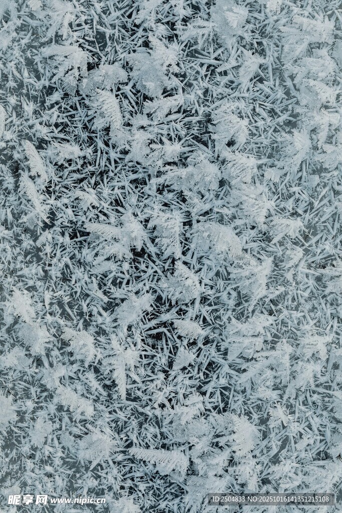 雪花纷飞的朦胧雪景画面