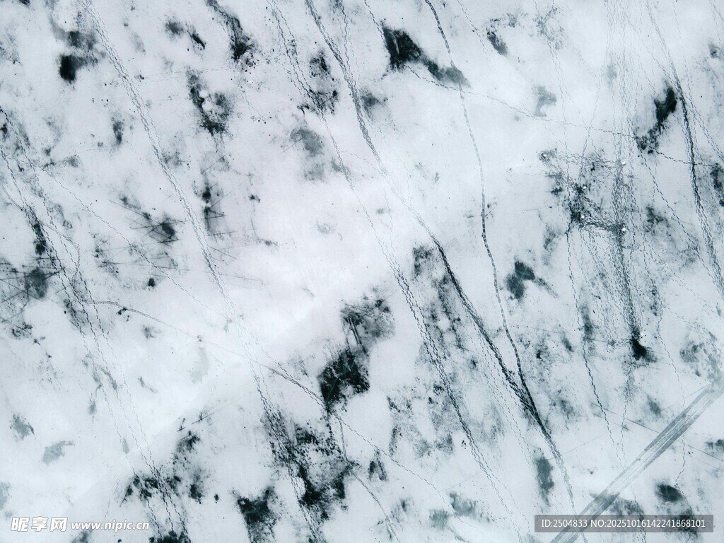 雪覆草地景象