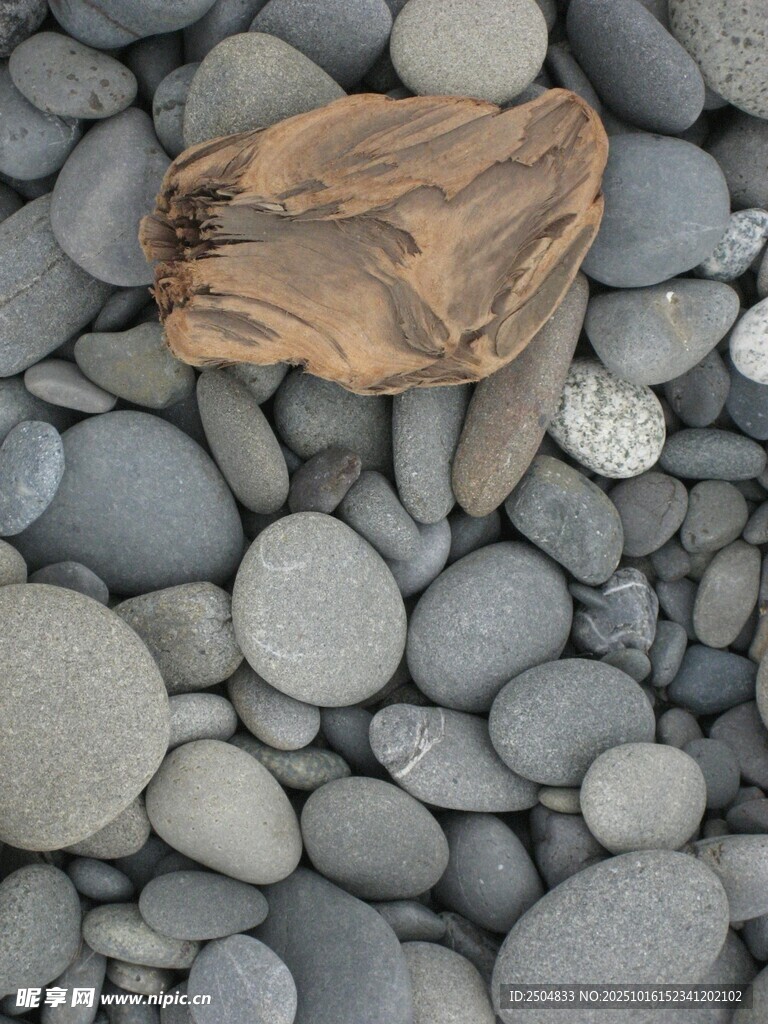 石滩上的独特木纹石块