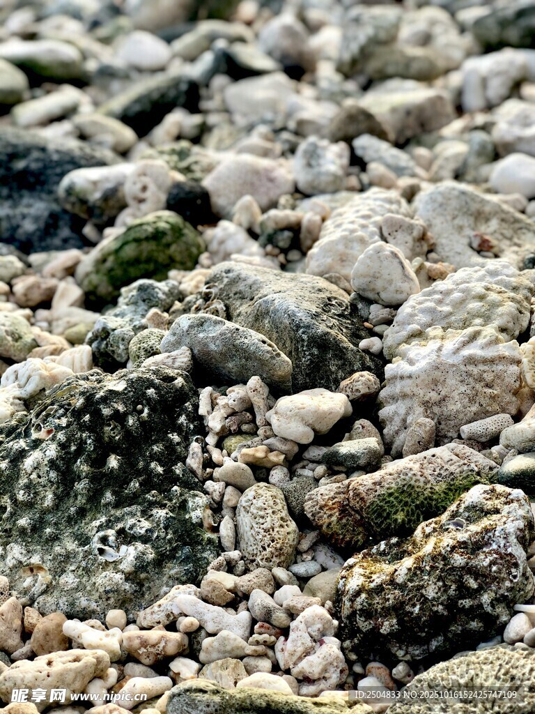 海边碎石特写