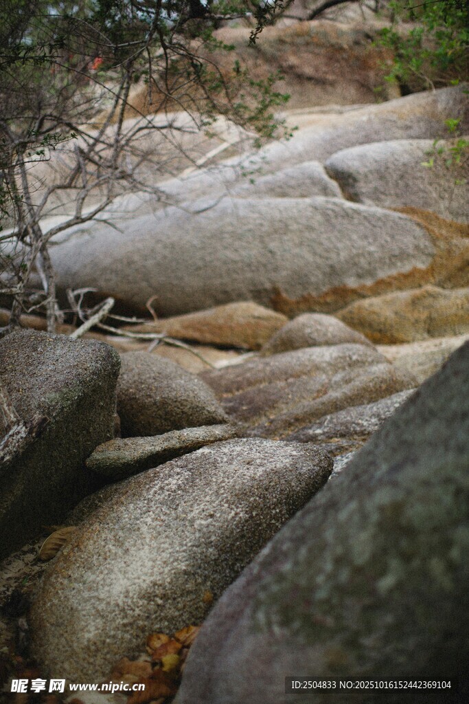 山间嶙峋岩石与稀疏树枝