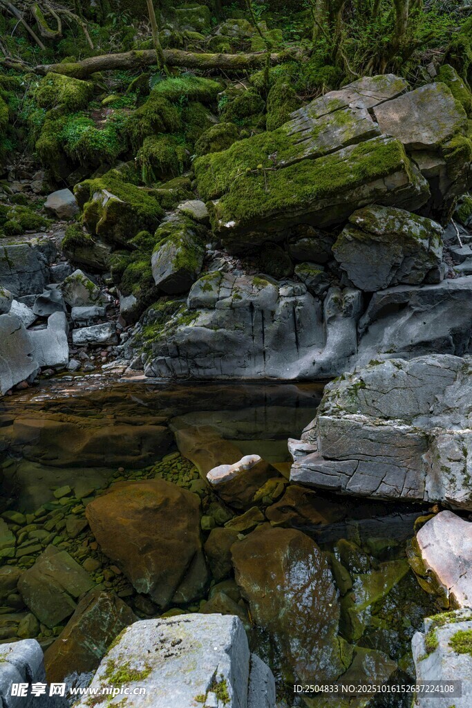 山间溪流中的嶙峋岩石