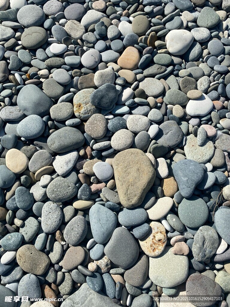 海滩上的多彩鹅卵石